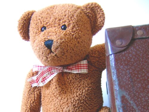 pluszowy miś z walizką